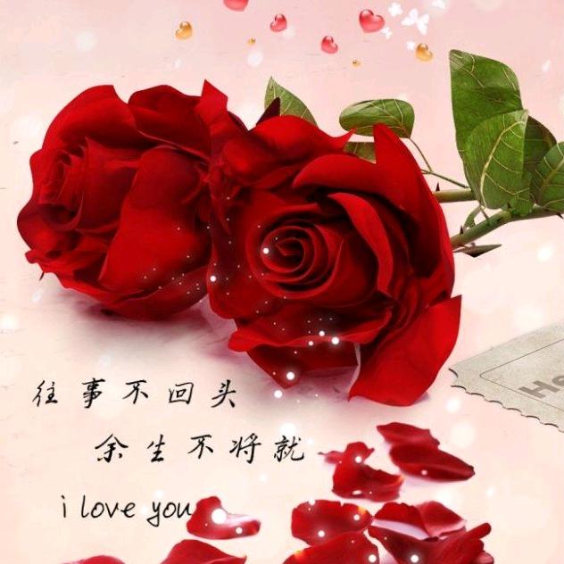 往事随风(๑><๑)