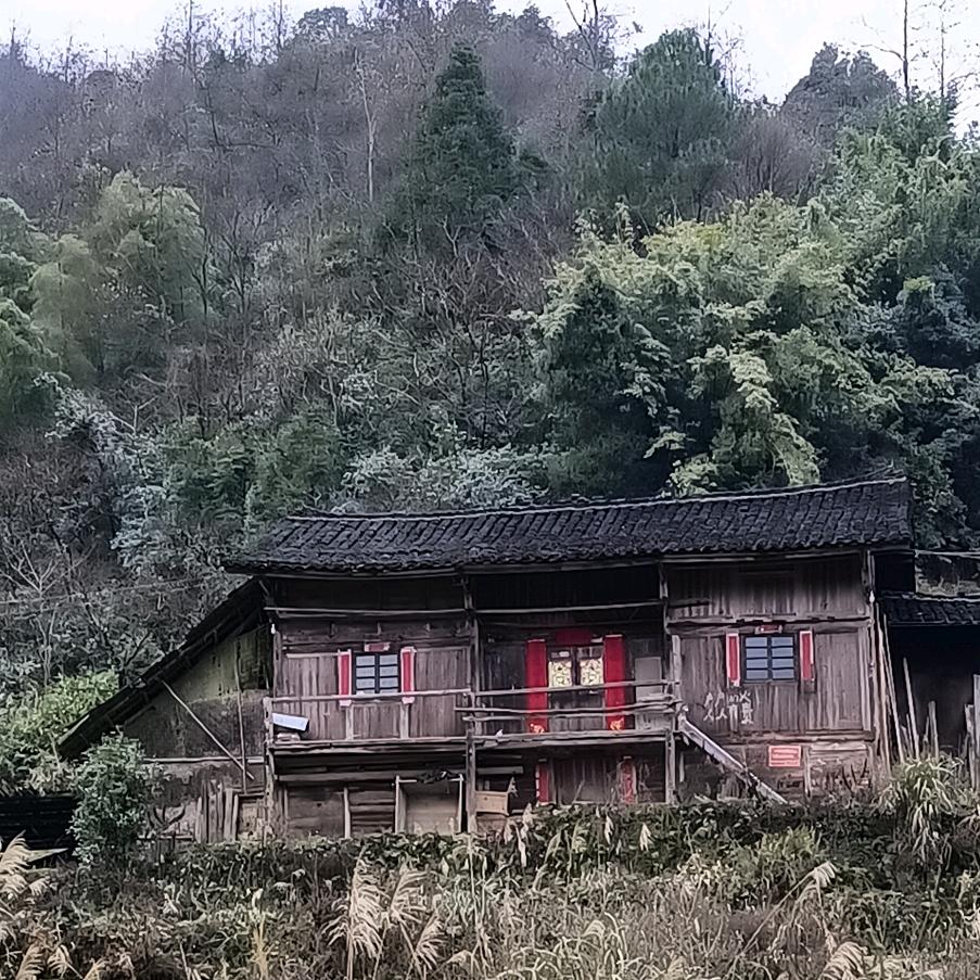 (网络情缘）寻单身姐妹聊天交友