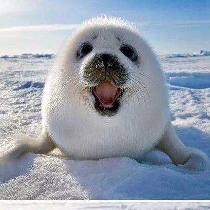 赢在江湖¹⁹¹⁵༗