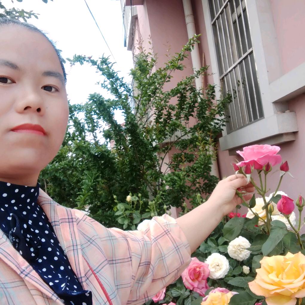 王福云