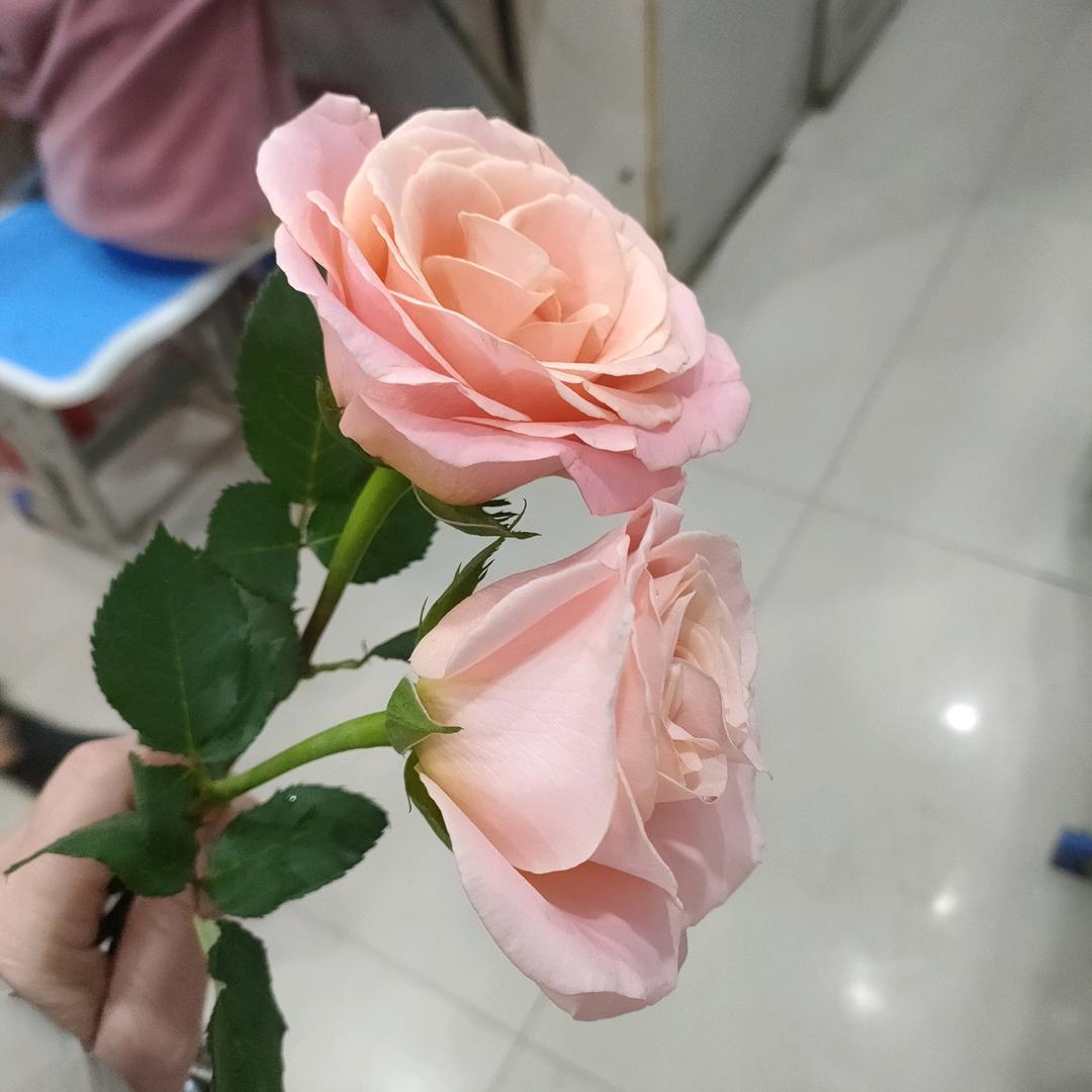 防城港市防城区巫十姐小食杂店