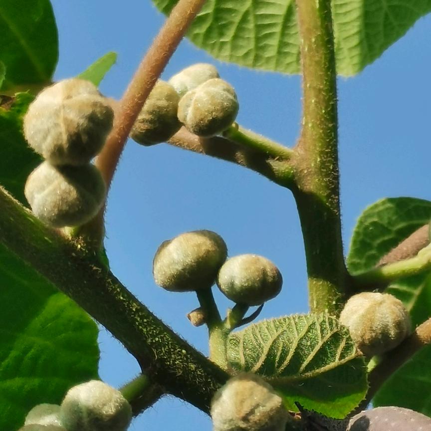 沙漠