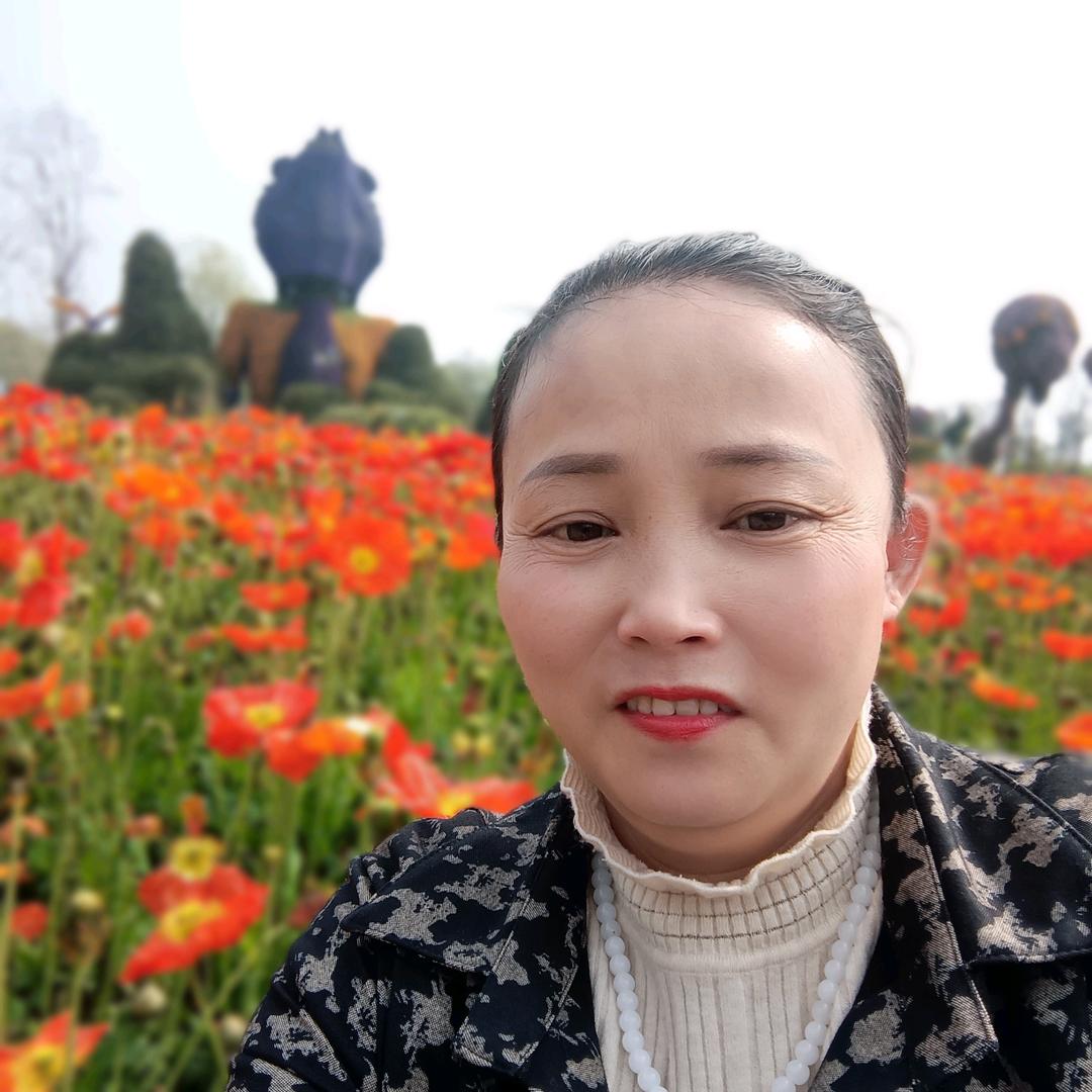 用户英子