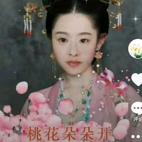 菊花朵朵
