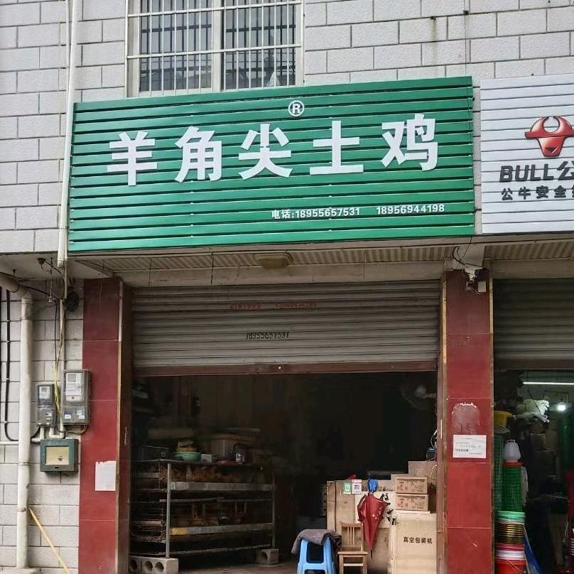 安徽羊角尖土鸡