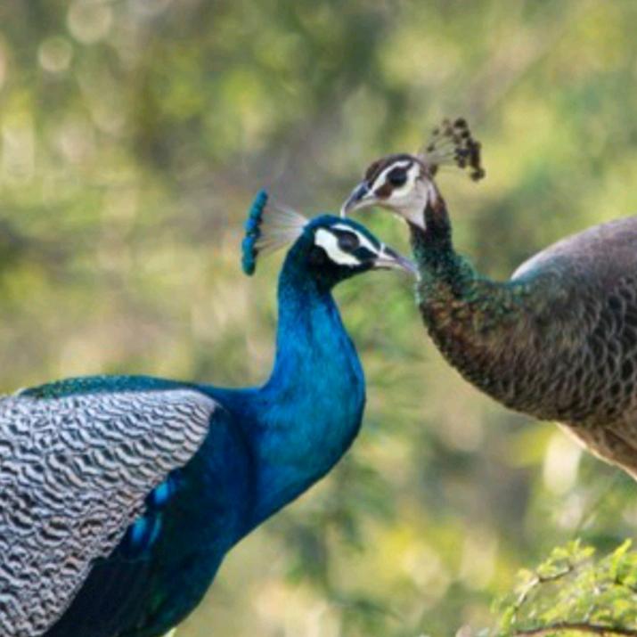 《开❤心❤哥》