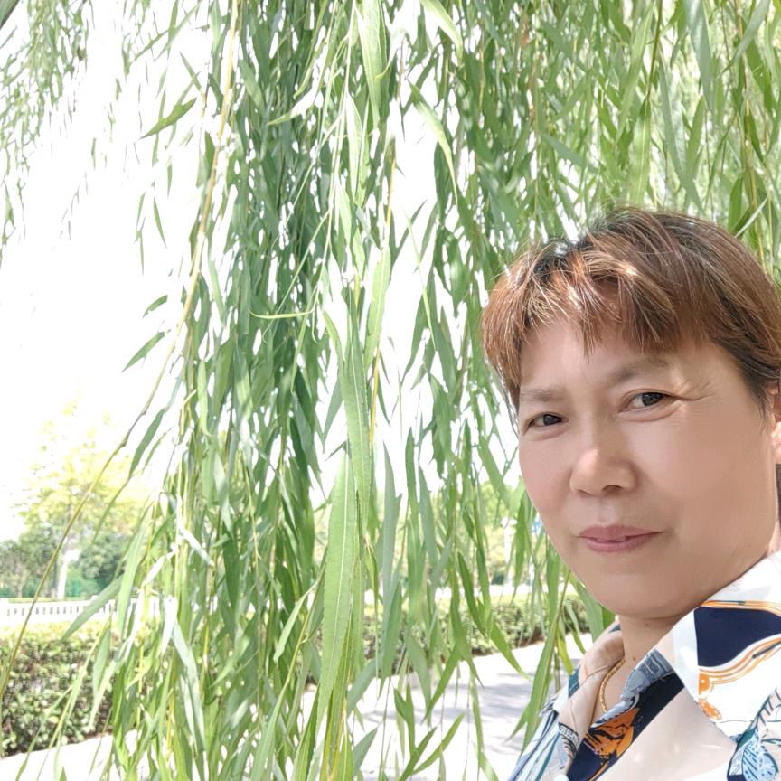 韦师傅贴膜，《70后的郝姐姐》