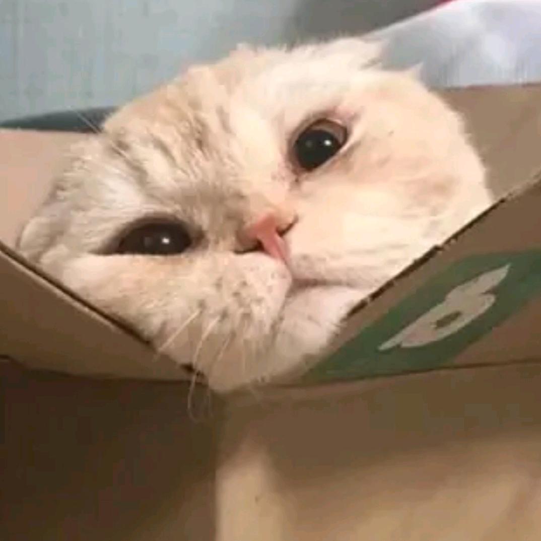 睡一觉