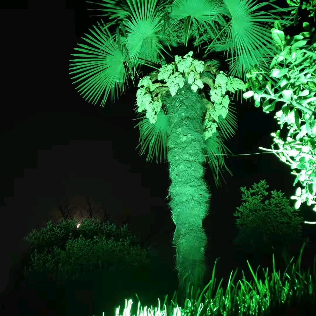 宁静致远《小号》