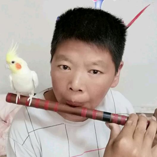 🔥沭阳破嘴🔥（1）