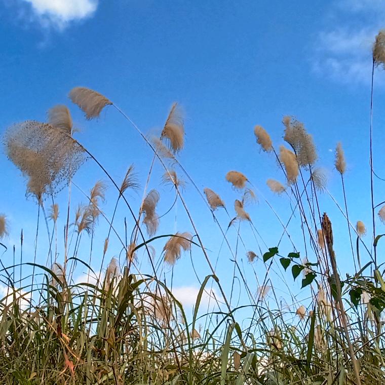 我是混泥土突击小郭
