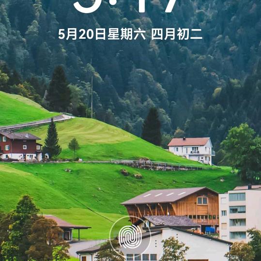 千年胡杨 909