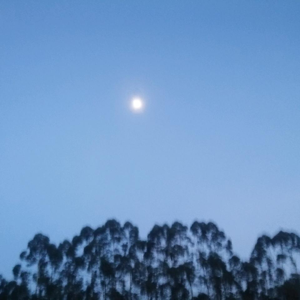 🍏阳光明媚