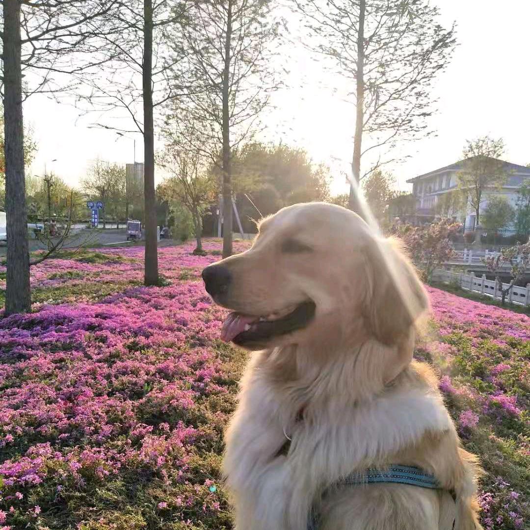 春暖花开时