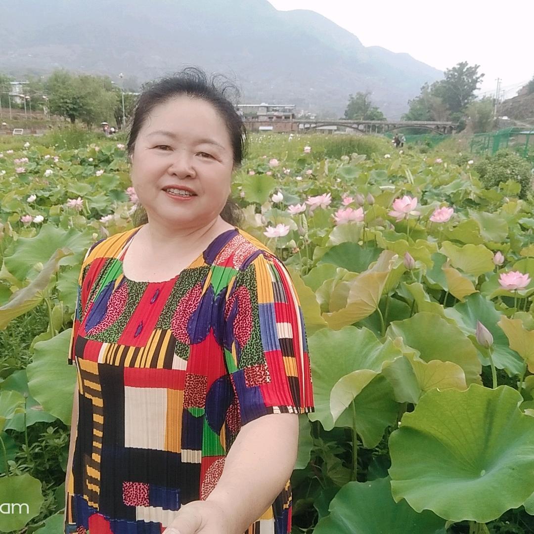 快乐的胖子