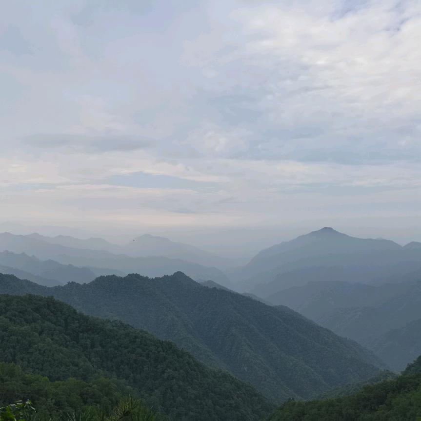 岭