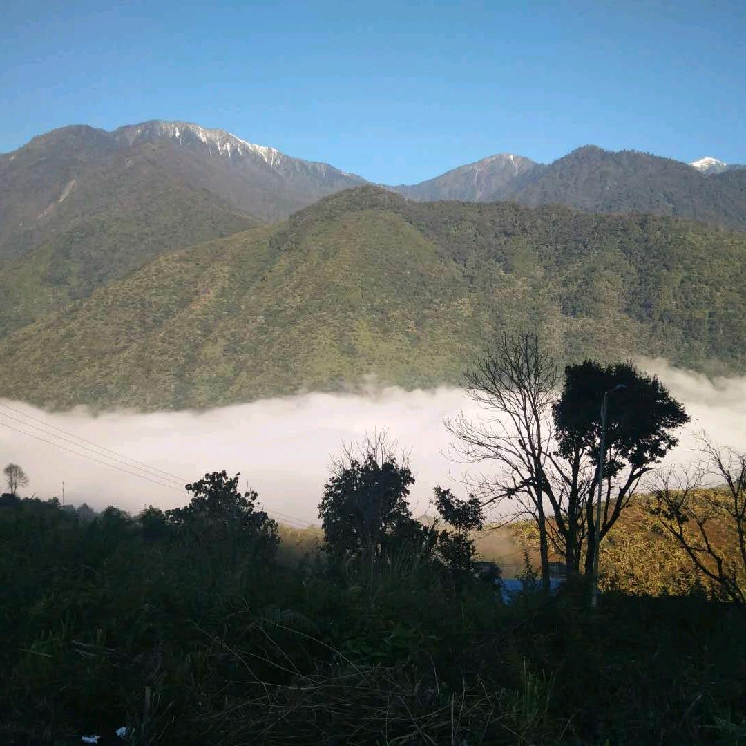 李永君
