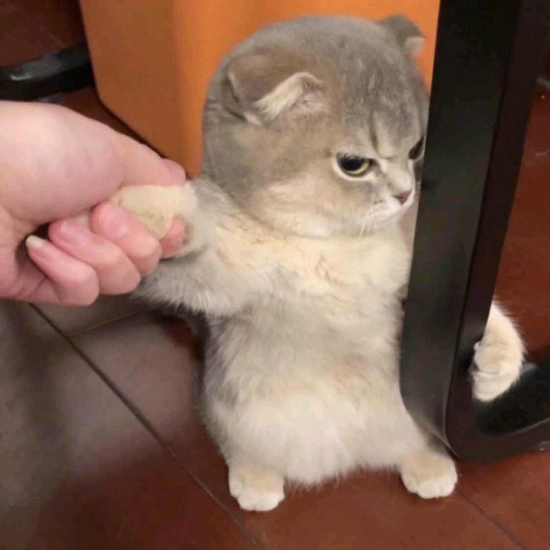 🌈🌈哔哔哔！