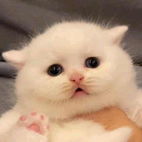 锐杰精选