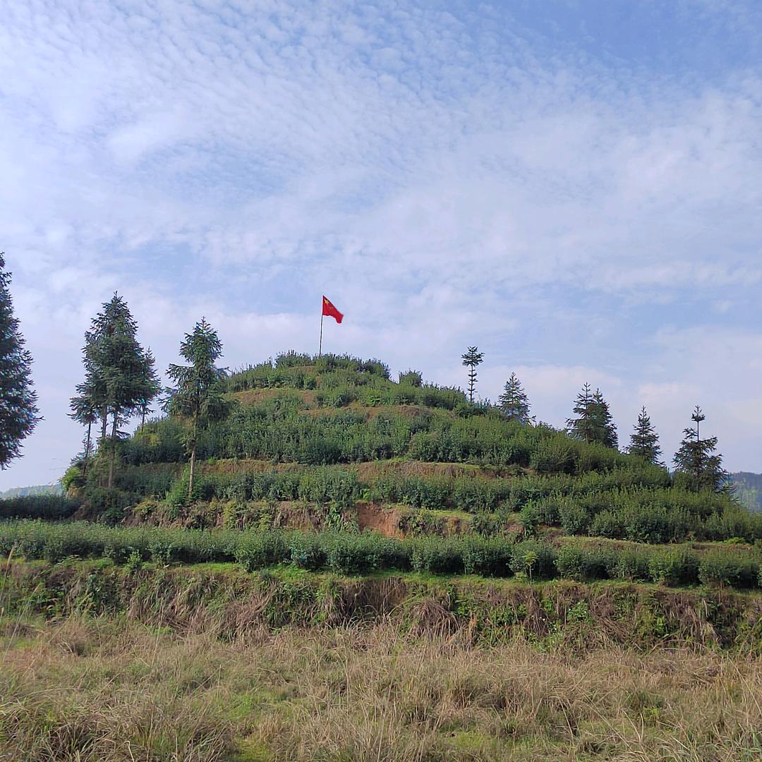 酉阳智能锁（田锁锁）(建均茶叶)