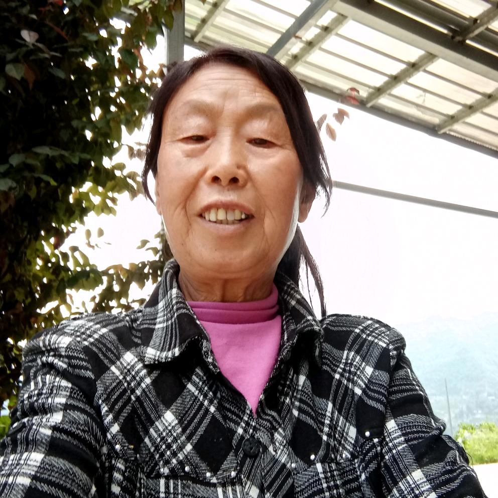 孙开应