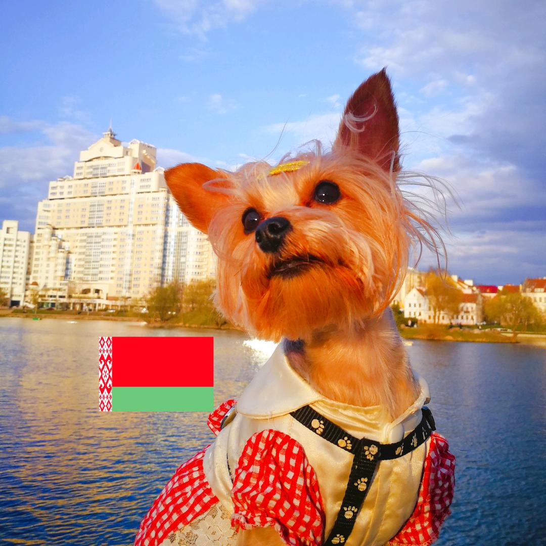 白俄进行时-白俄罗斯-跃冬留学