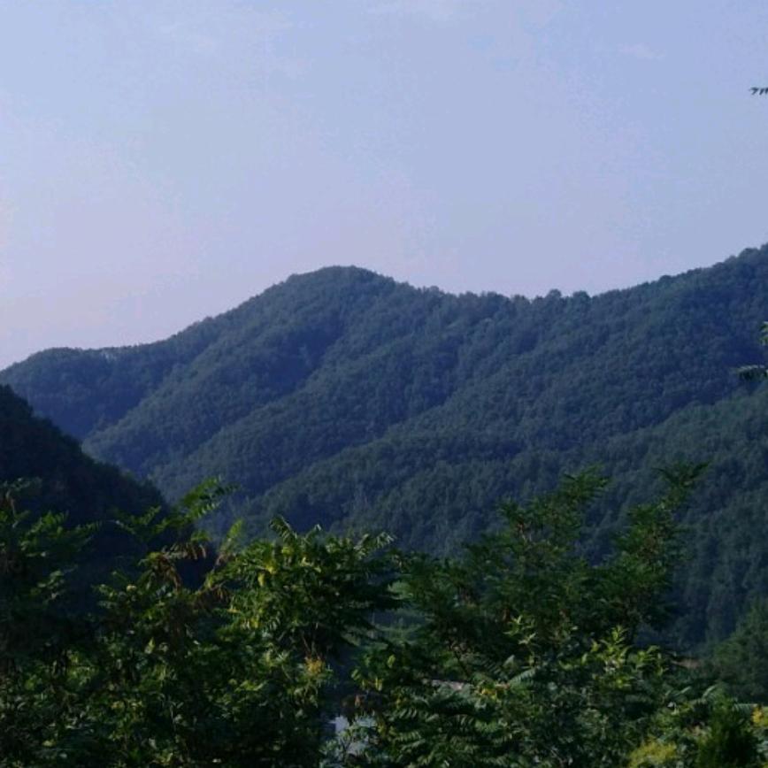 @沉默是金