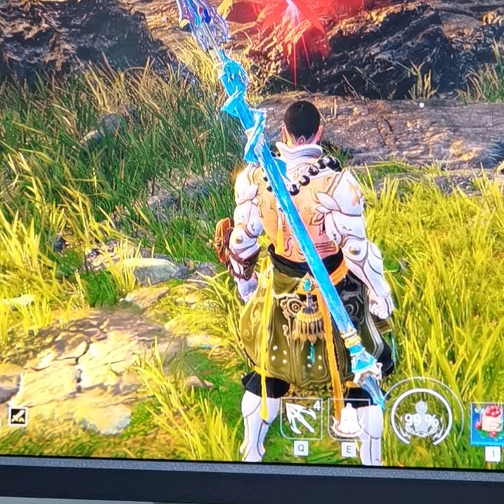 Check秋