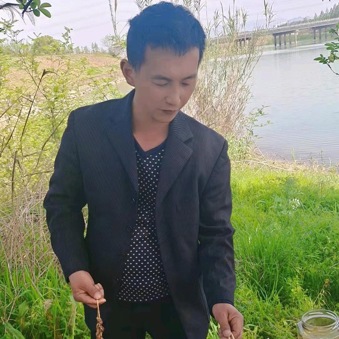 安徽亳州。《袁》