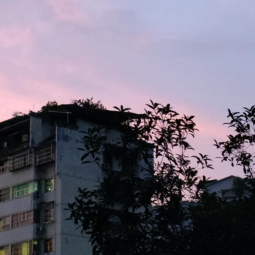 小陈是我
