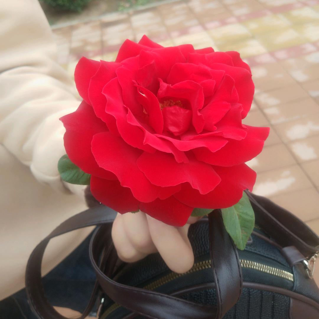 “随缘”