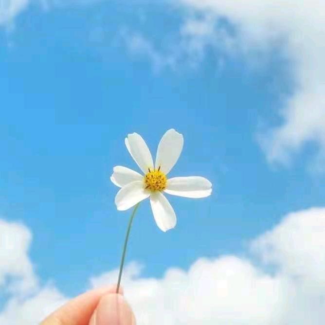 hello