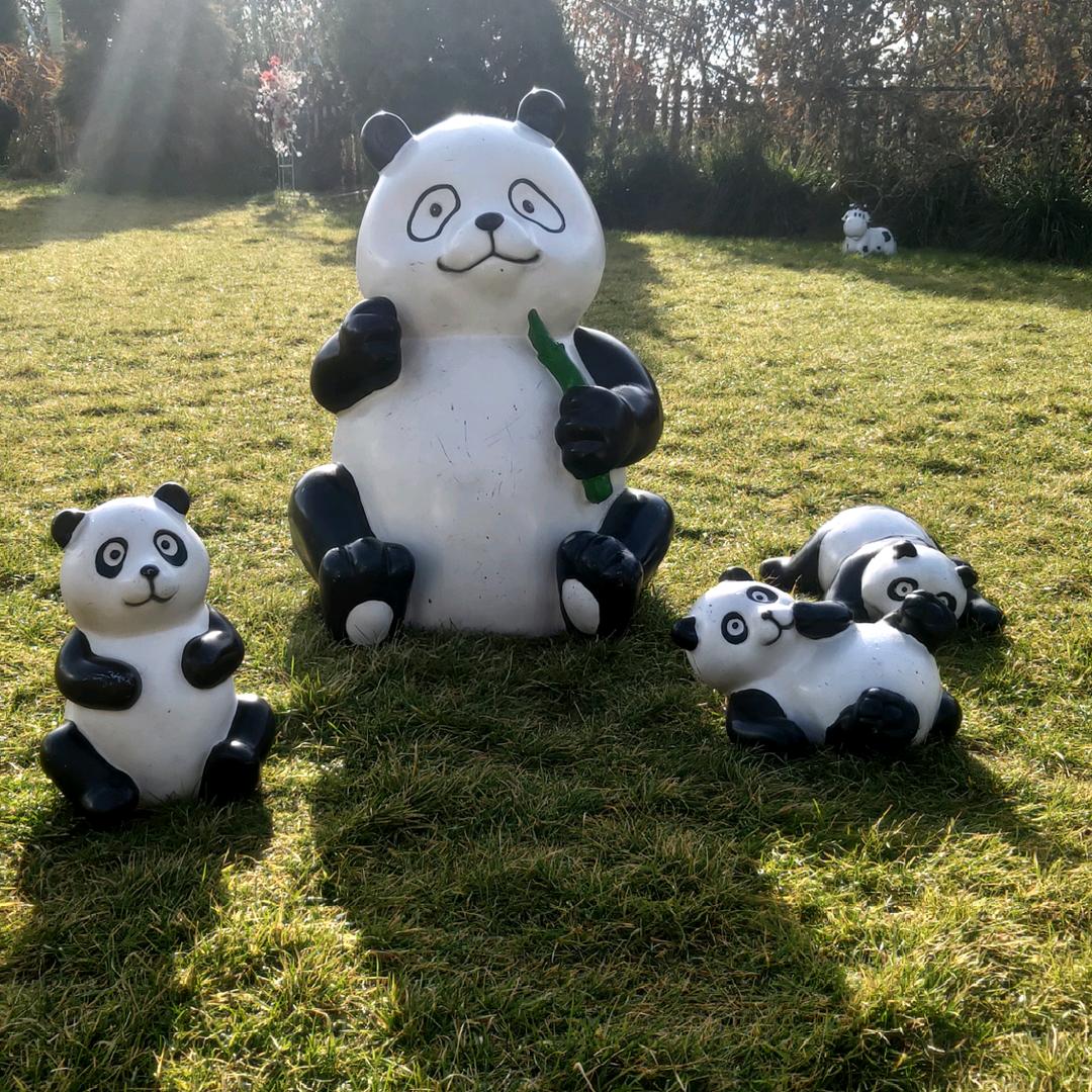 山西春秋国旅美丽