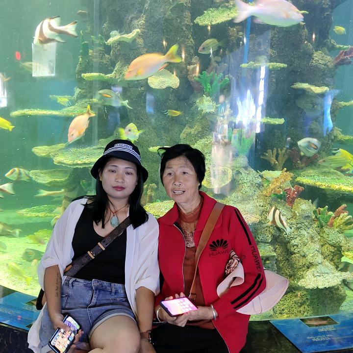 小芬要努力