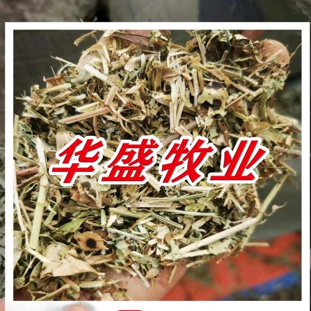 华盛牧业 勇往直前