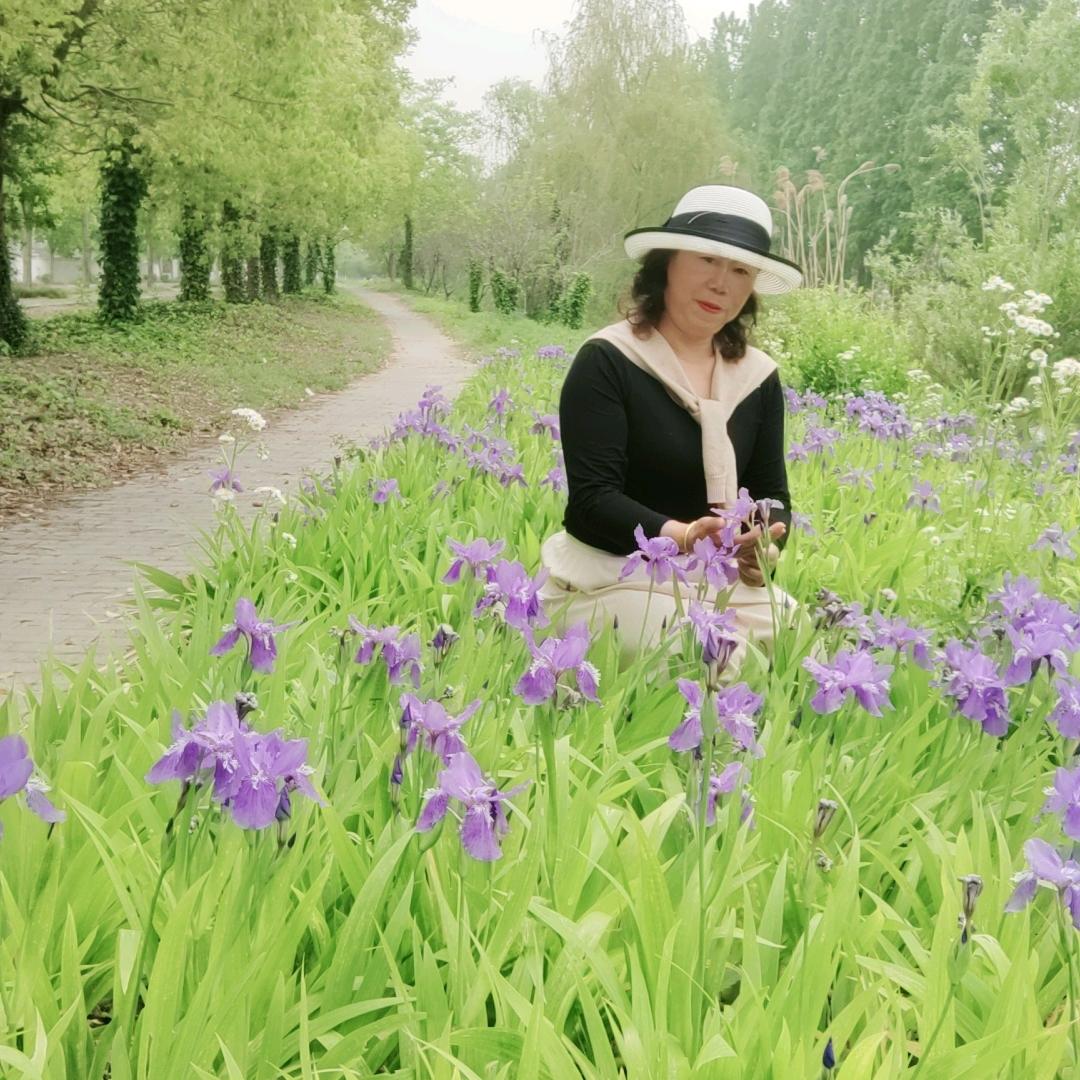 枫叶（记录美好生活）