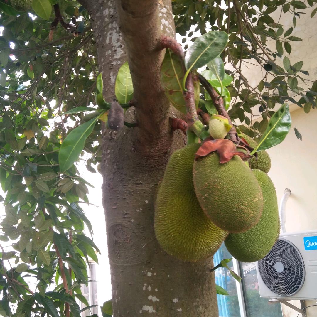 人生路长，大度何妨