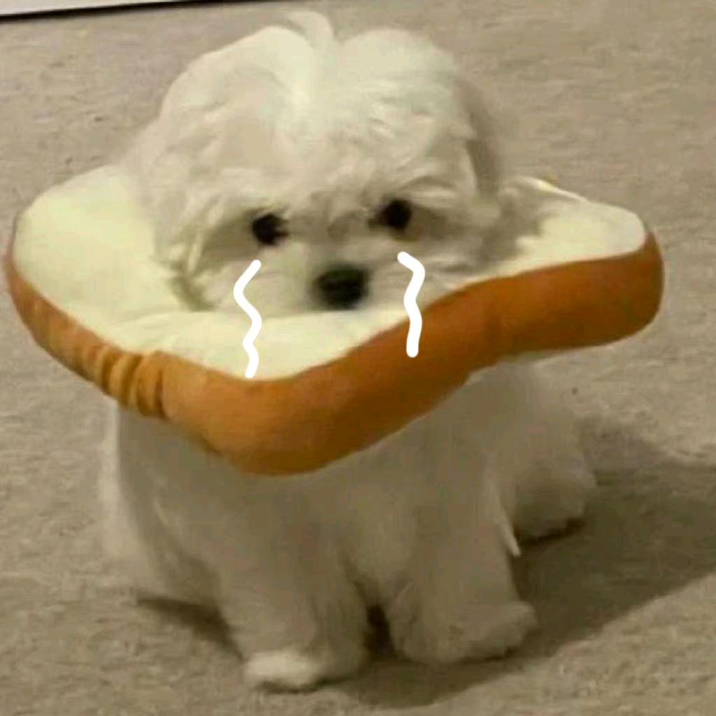 ૮ ・ﻌ・ა