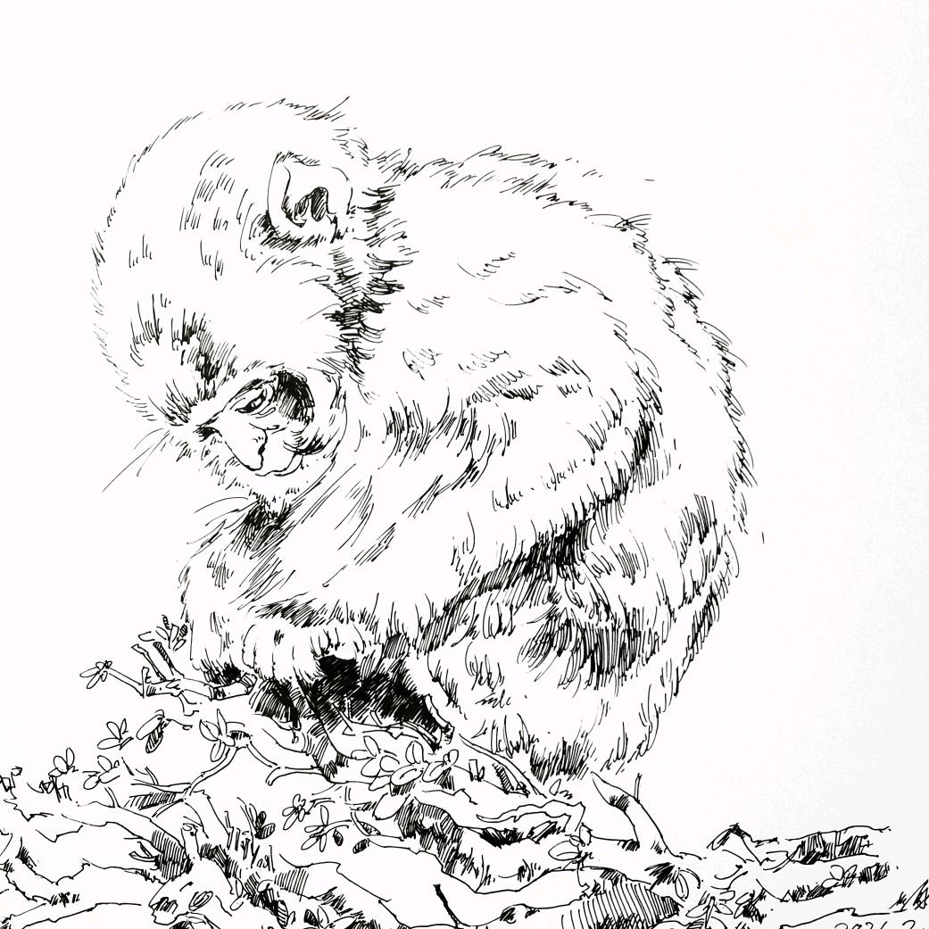 一壶秋水枕江眠