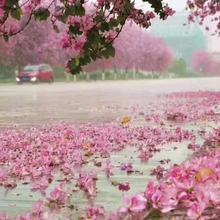 但愿一家人幸福平安