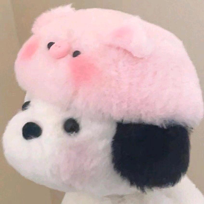 小菩提