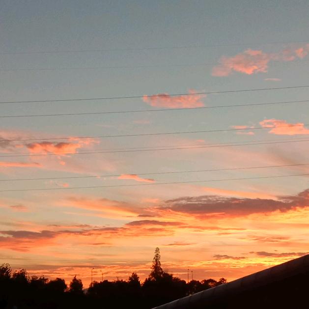 花木造园，顺哥