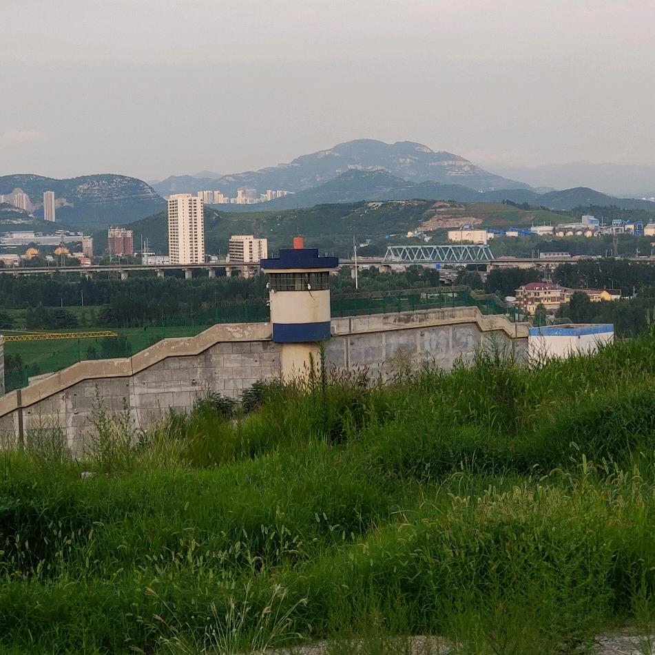 《灰灰》