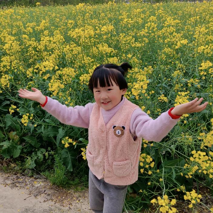 孟菊