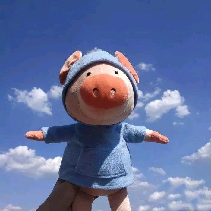 阿文小秋