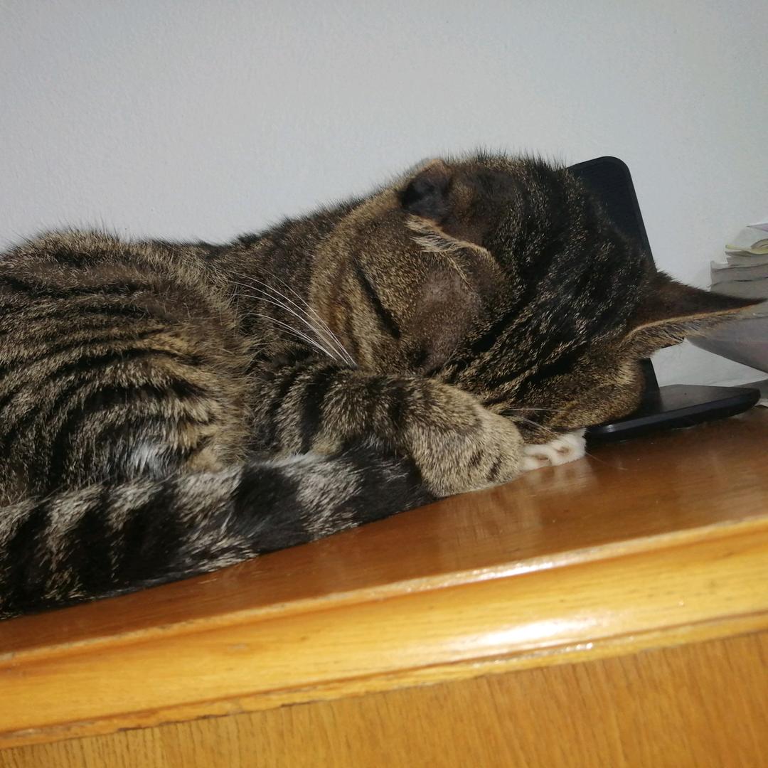 小说看多了