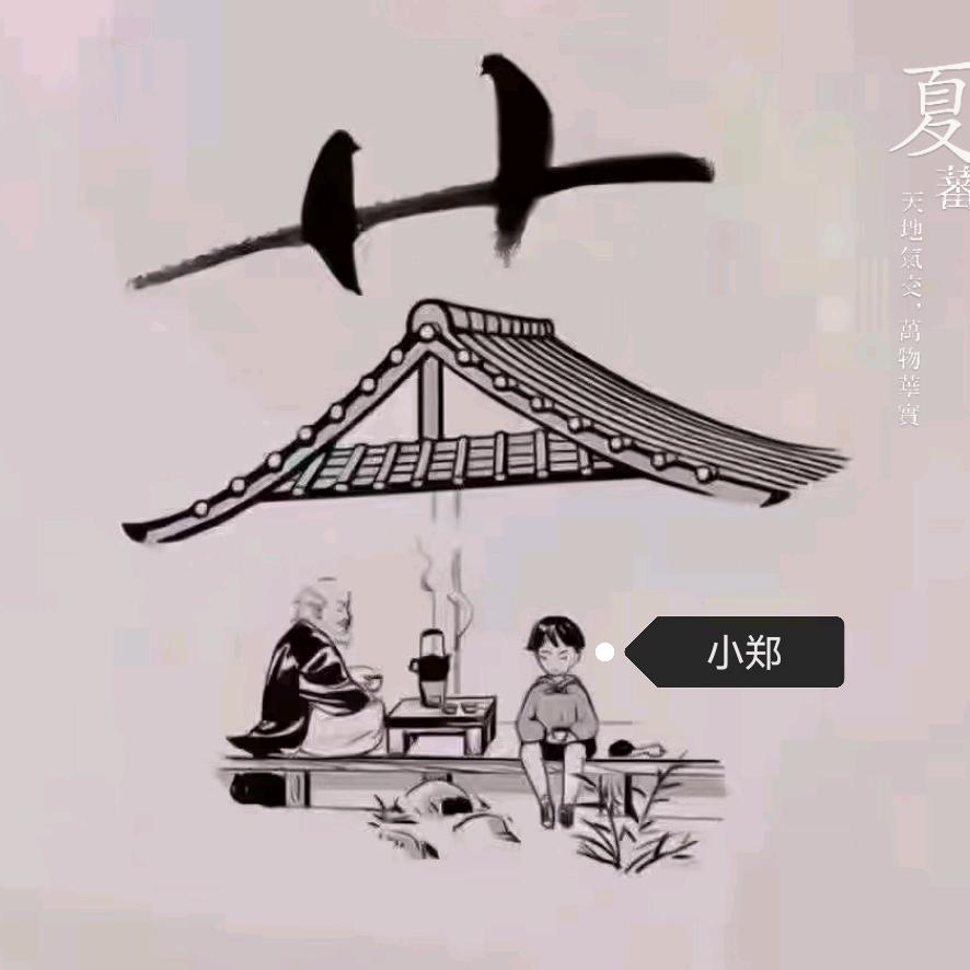 郑有好茶