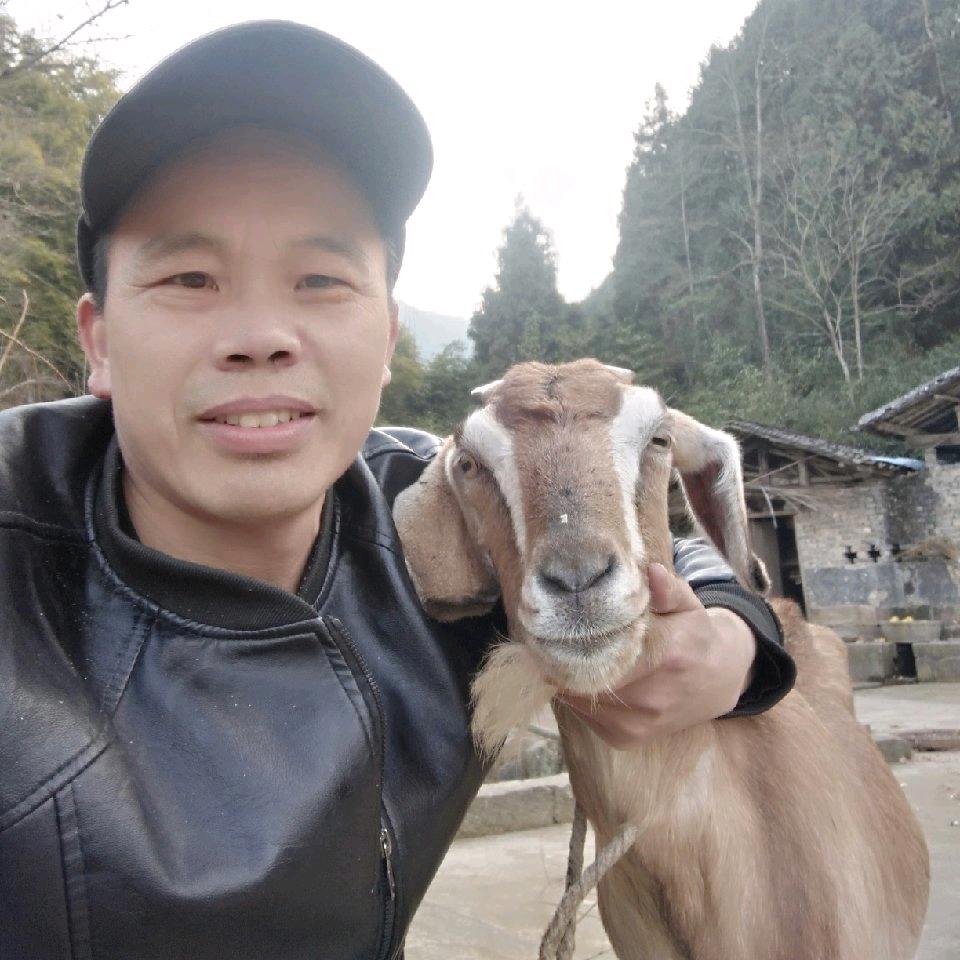 麻柳山野土货