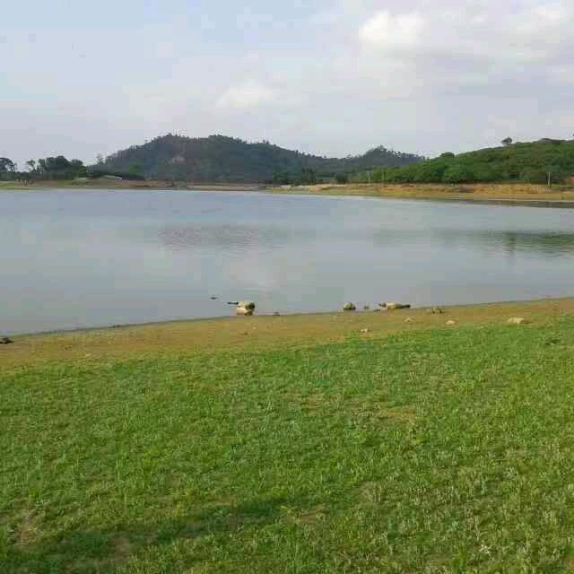 @小草