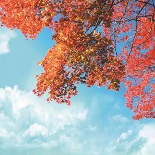 成长的“烦恼”